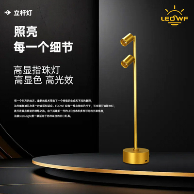 Portable Rechargeable Jewelry Store Showcase Light 2*3w Led Spotlight with IP20 Rating and 5V Input Voltage