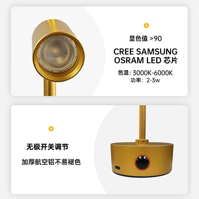Portable Rechargeable Jewelry Store Showcase Light 2*3w Led Spotlight with IP20 Rating and 5V Input Voltage